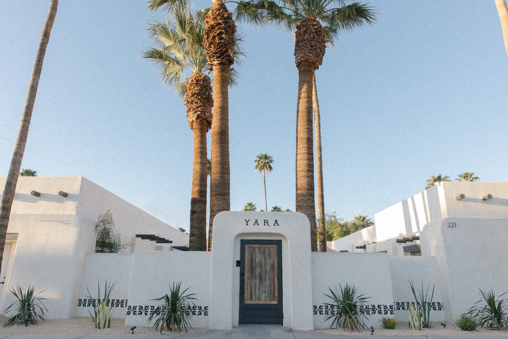 A welcoming entrance to a white building surrounded by tall palm trees.