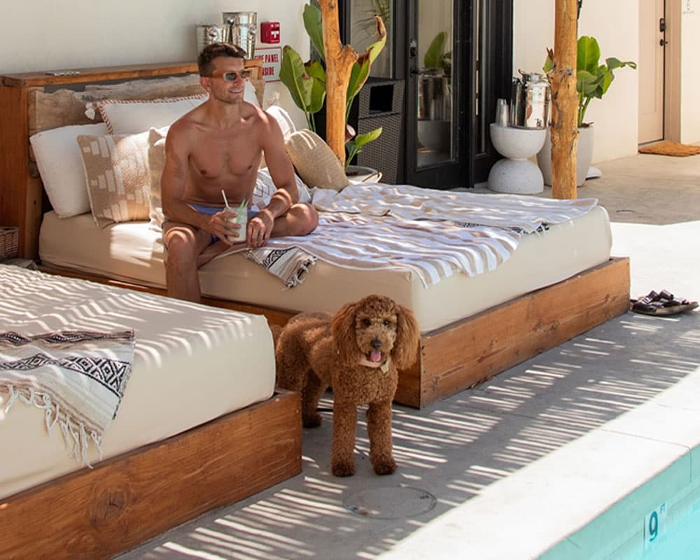 A shirtless man relaxes by a pool with a drink while a brown dog stands nearby.